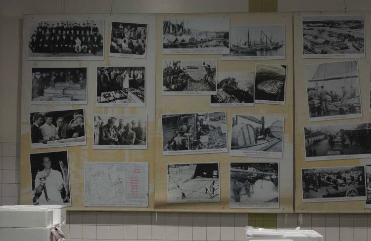 Gothenburg fish sheds