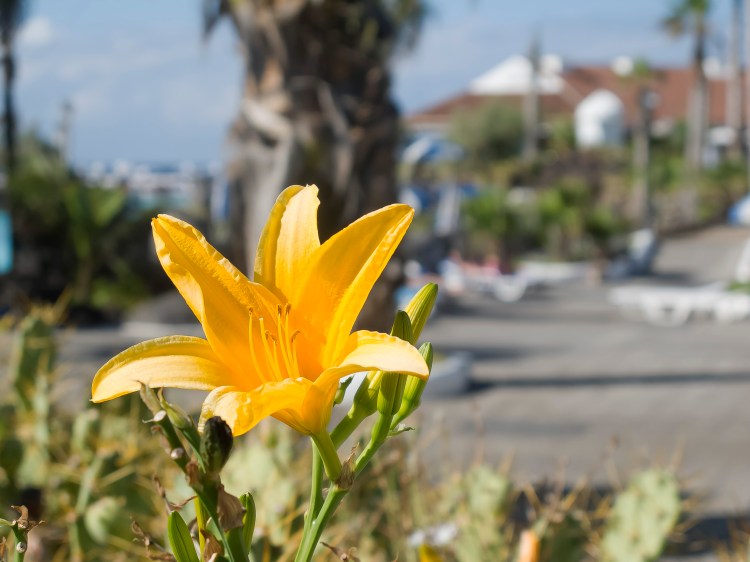 Parks and recreation