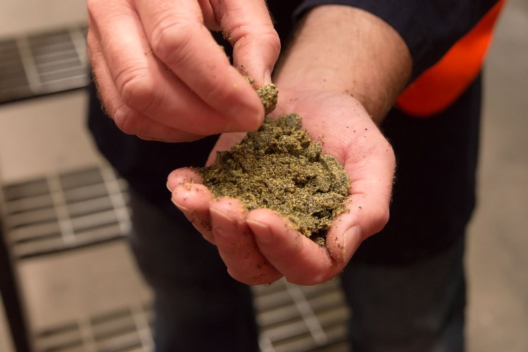 Chicken feed, no waste