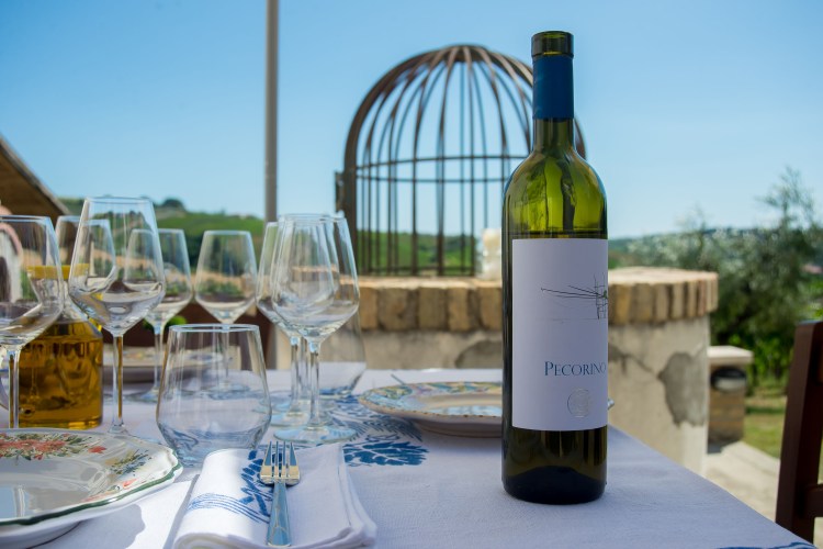 Bottle of Pecorino against view background