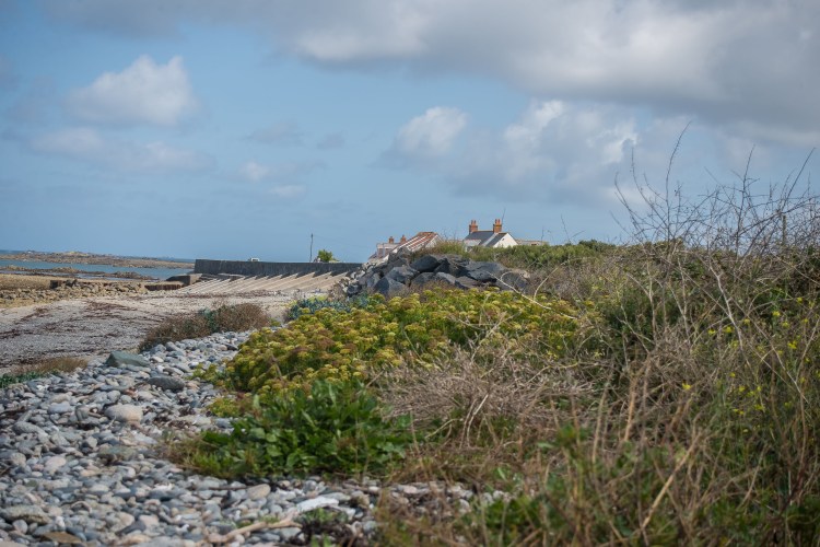 The sea is the larder