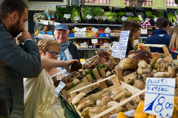 Fresh mushrooms for sale in Modena Market